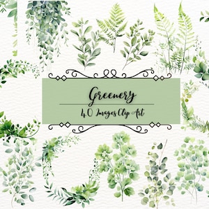 Greenery Clipart |40 PNG Watercolor Greenery Clipart|Botanical Clipart|Watercolor Clipart|Wedding Clipart|Invitation Clipart|Foliage Clipart