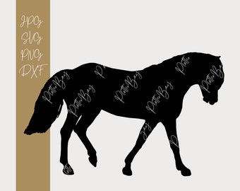 Haflinger SVG, Silhouette, Pferde SVG, Plotterdatei Pferd, Digitaler Download (svg, png, jpg, dxf)