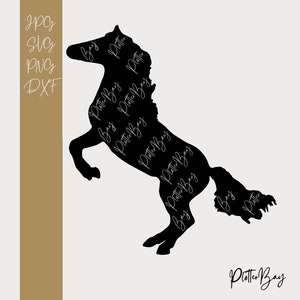 Könnte beinhalten: Schwarze Silhouette eines Pferdes, das sich auf seinen Hinterbeinen aufrichtet. Das Pferd ist mit dem Text "Plotter Bay" gefüllt, der mehrmals in einer kursivschriftlichen Schriftart wiederholt wird.