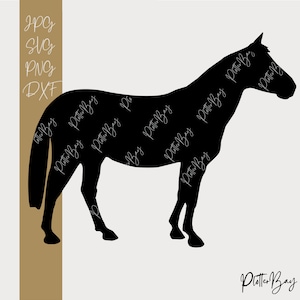 Könnte beinhalten: Schwarze Silhouette eines Pferdes, das nach rechts blickt. Das Pferd steht auf einem hellgrauen Hintergrund. Das Bild ist mit dem Text "Platter Bay" in einer weißen Kursivschrift versehen.