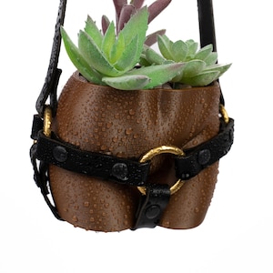 Booty Planter and Boob Hanging Planter with Harness