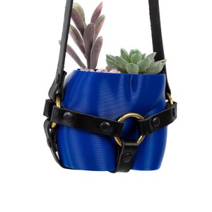 Booty Planter, Butt Planter