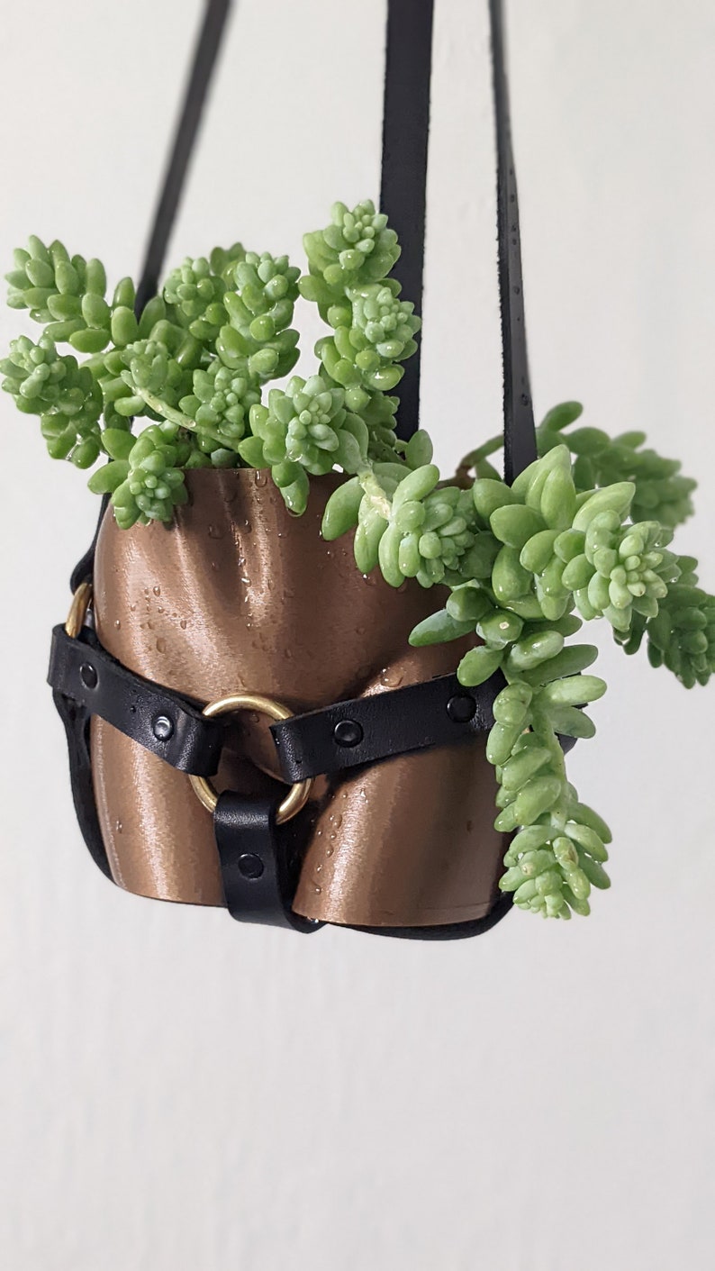 Booty Planter and Boob Hanging Planter With Harness - Etsy