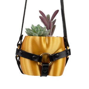 Bondage Hanging Planter - Etsy