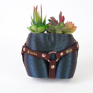 Puede incluir: Una maceta azul oscuro con una correa de cuero marrón y detalles dorados. La correa tiene las palabras "Kinda Wet" escritas en ella. La maceta está llena de suculentas.