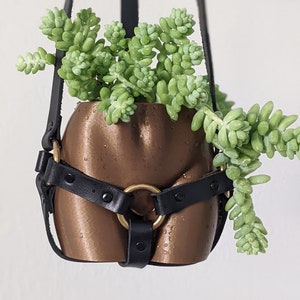 Booty Planter and Boob Hanging Planter with Harness