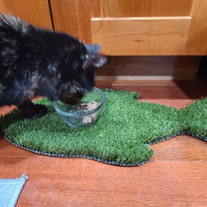 Peut inclure: Un chat noir et brun mange dans un bol en verre sur un tapis en forme de poisson en herbe artificielle verte.