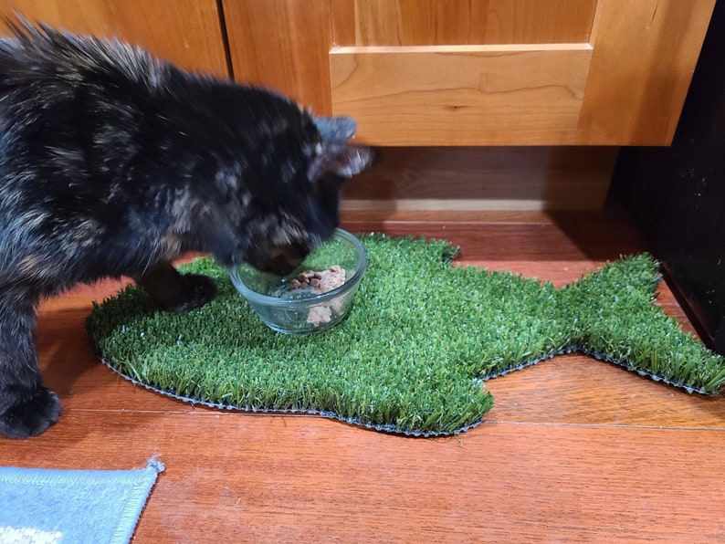 Peut inclure: Un chat noir et brun mange dans un bol en verre sur un tapis en forme de poisson en herbe artificielle verte.
