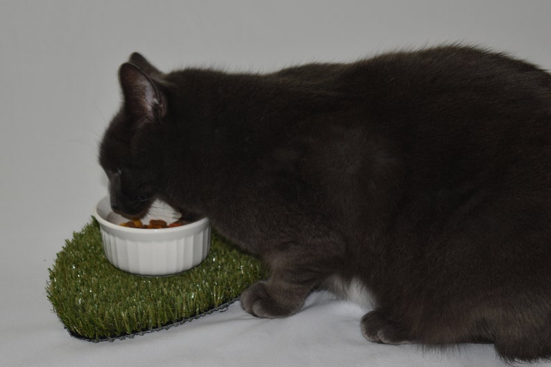 Peut inclure: Un chat gris mangeant dans un bol en c&eacute;ramique blanche sur un tapis d'herbe artificielle verte.