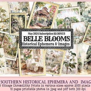 Southern Historical Ephemera, Magnolia Ephemera, Antibellum, Print and Tear Sheet, Wallpaper Journal Pages, Southern Floral Ephemera