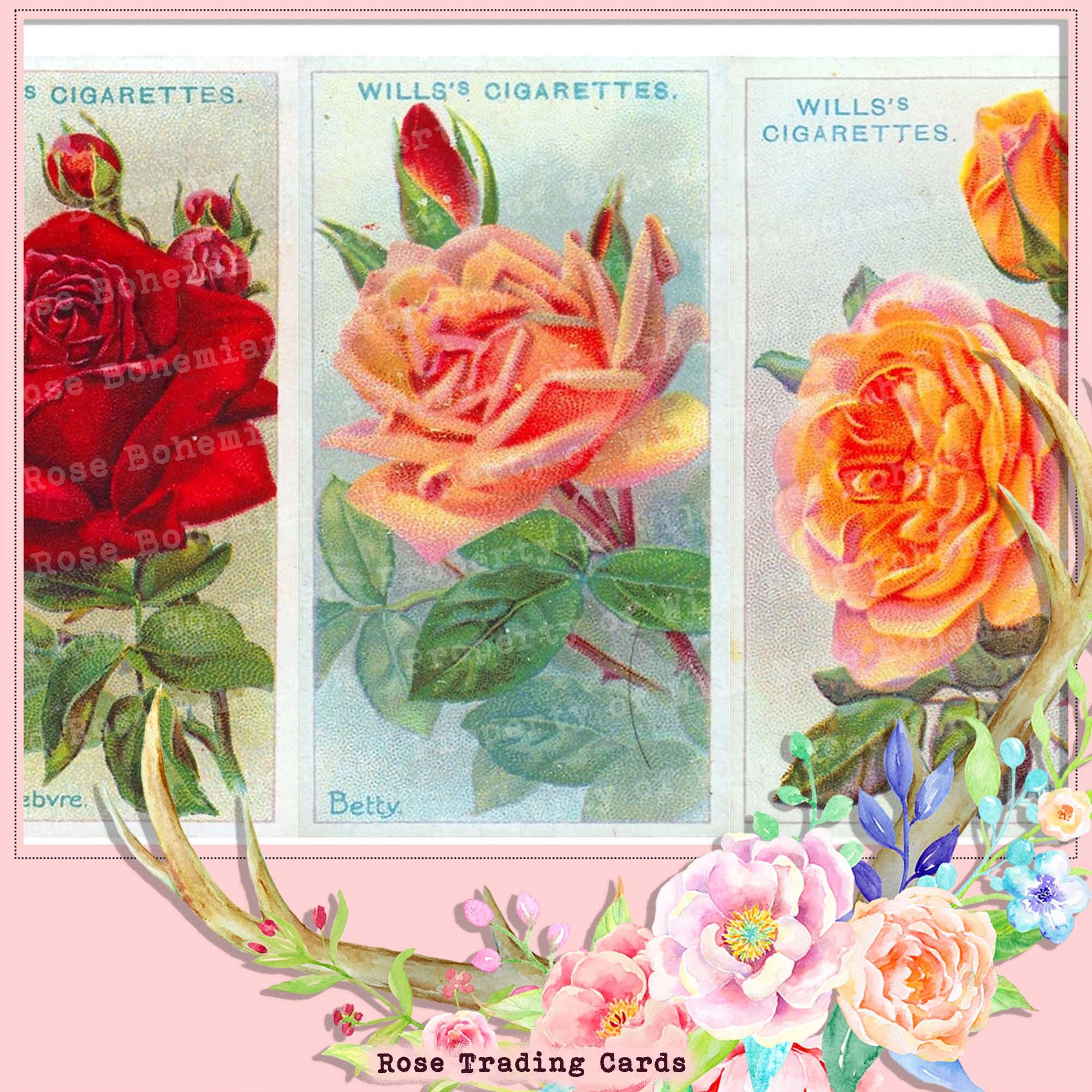 Vintage Rosetrading Cards, Printable Digital Rose Cards, Digital ...
