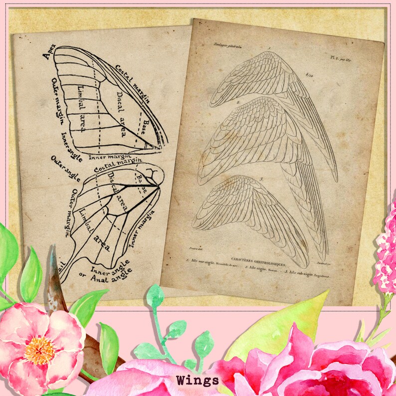 Wings Junk Journal Kit, Antique Receipts, Wings Etymology, Vintage