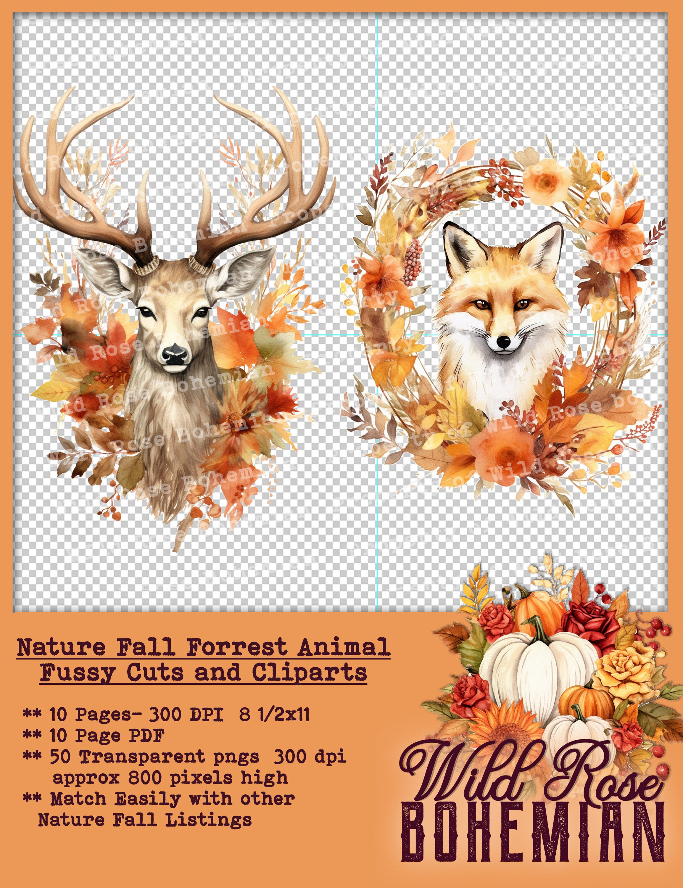 Autumn Animal Clipart: Fall Forest PNG Stickers (digital Download ...