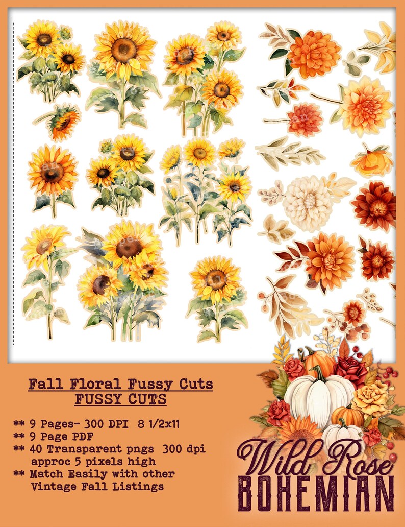 May include: A set of 40 digital fall floral fussy cuts, including sunflowers, dahlias, and roses. The images are high resolution and perfect for crafting projects.  Fall Floral Fussy Cuts.  Fussy Cuts. 9 Pages - 300 DPI 8 1/2x11. 9 Page PDF. 40 Transparent pngs 300 dpi approx 5 pixels high. Match Easily with other Vintage Fall Listings. Wild Rose Bohemian.