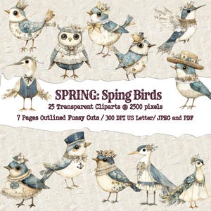Spring Bird French Blue Clipart, Shabby Blue Garden Party Transparent PNG, Clipart Bundle, Bird png for Sublimation, chic Digital Printable