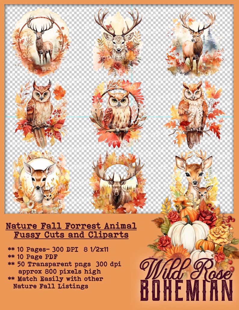 Autumn Animal Clipart: Fall Forest PNG Stickers (digital Download ...