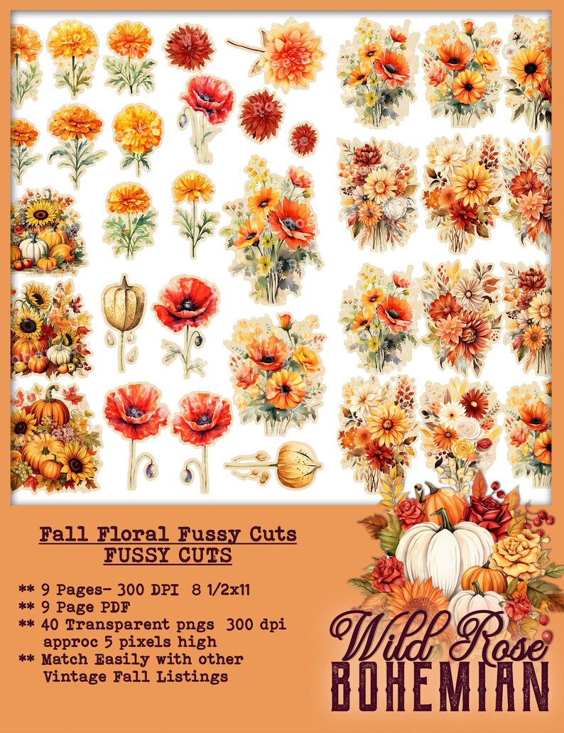 May include: A set of 40 digital fall floral fussy cuts in PNG format. The images are high resolution and perfect for crafting projects. The set includes a variety of flowers, pumpkins, and leaves in warm autumn colors. The text "Wild Rose Bohemian" is included in the image.