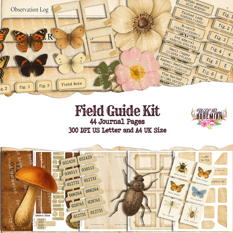 Naturalist Field Notes Journal Kit | Vintage Botanical Printable Pages ...