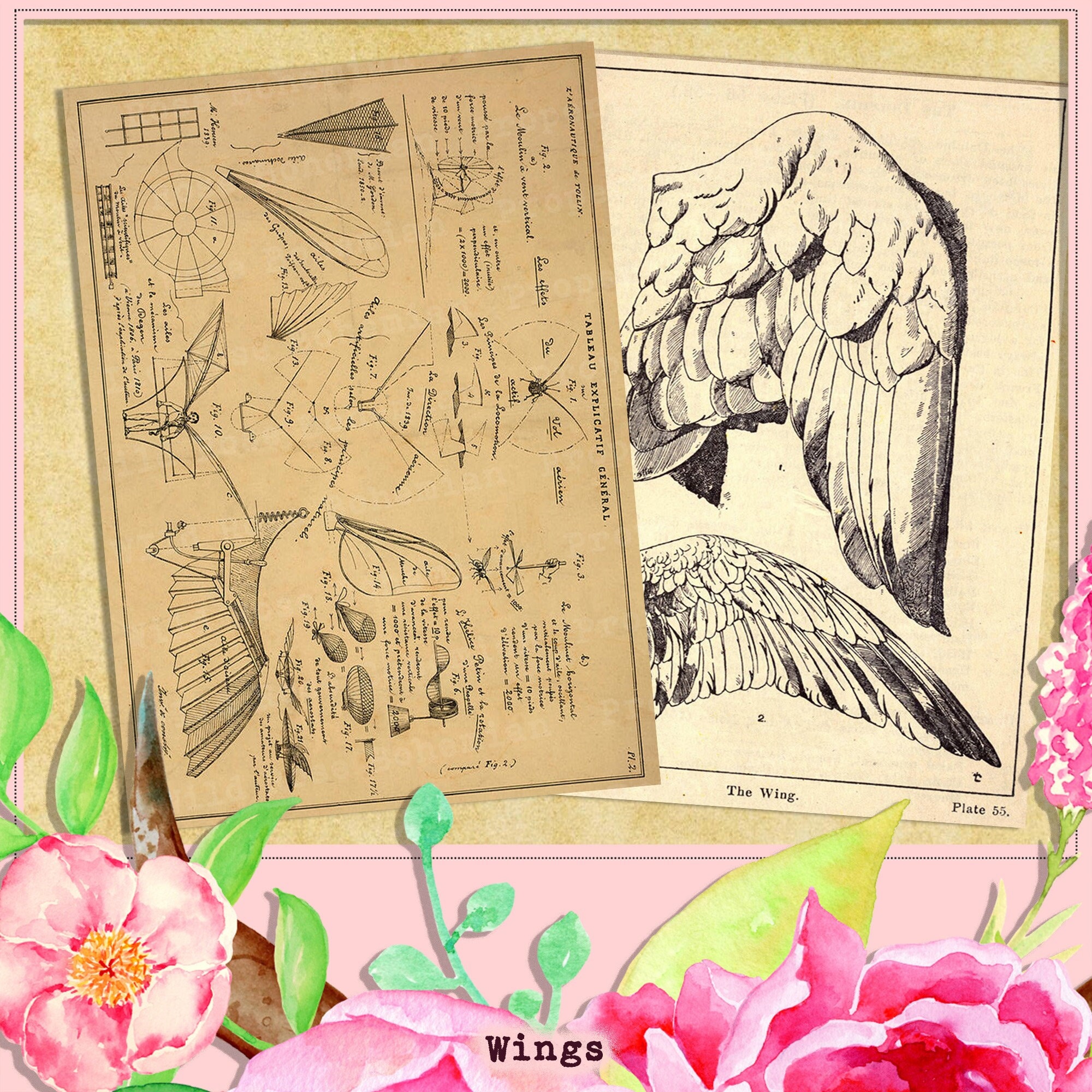 Wings Junk Journal Kit, Antique Receipts, Wings Etymology, Vintage