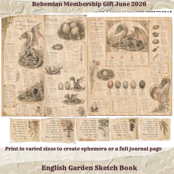 Artist Sketchbook Printable Art Kit, English Garden Botanical Art