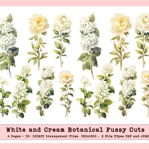 Pressed Flower Botanical Clipart, Botanical Fussy Cuts for Transparent Printing.  Realistic Peonies and Poppies, Slide pngs
