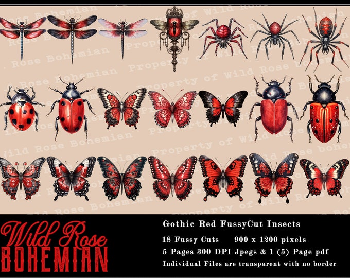 Gothic Insects This item is unavailable - Etsy