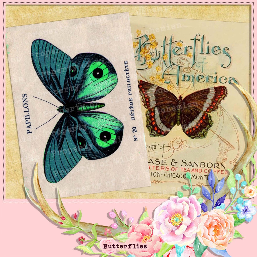 Junk Journal Printable Butterflies, Dictorionary Butterfly, Etymology