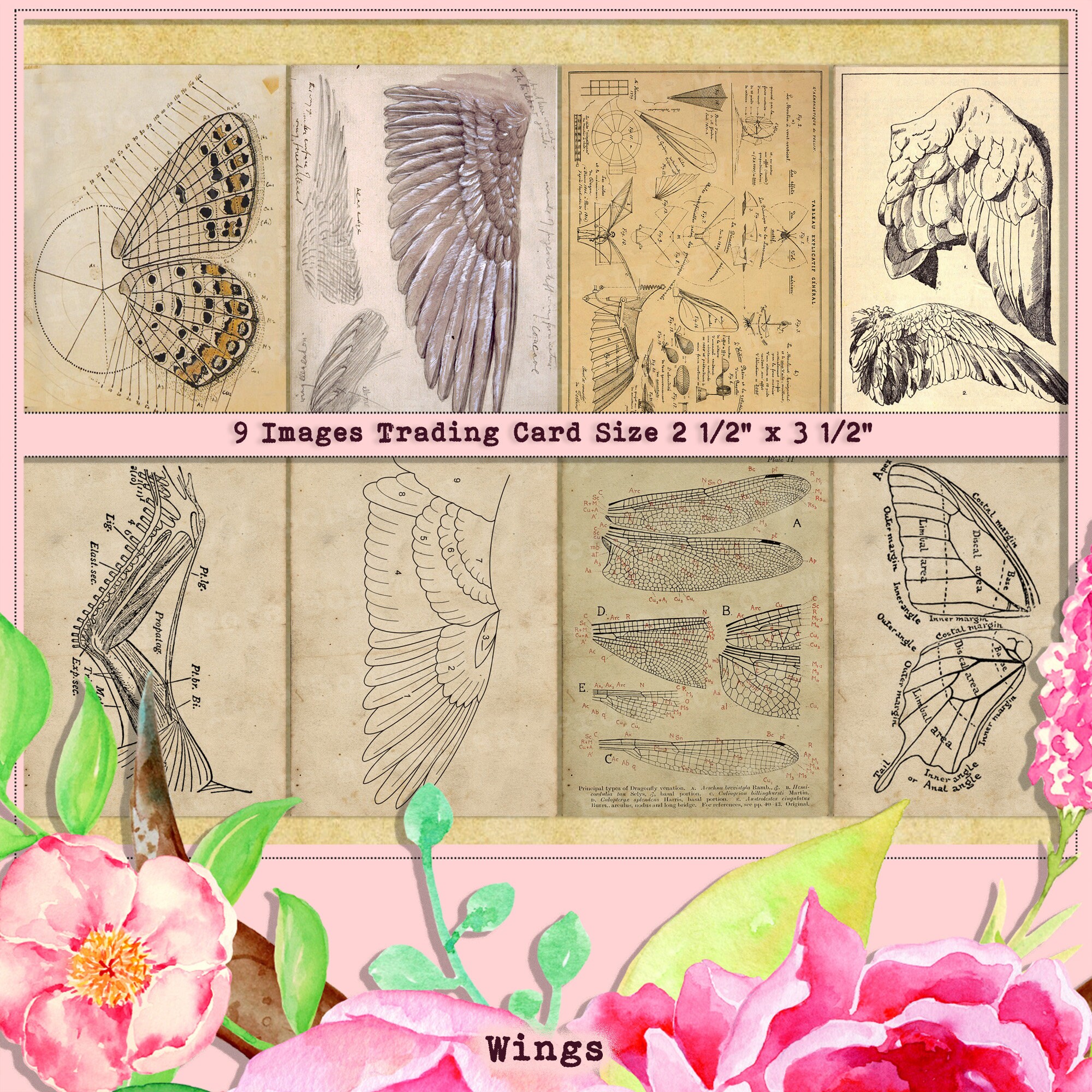 Wings Junk Journal Kit, Antique Receipts, Wings Etymology, Vintage