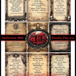 May include: A collage of vintage-style images with quotes about embracing the night, passion, and the power within. The images feature skulls, roses, and a number 13 in a black frame. The text includes quotes like "Seize the Night" and "Let your desires guide you".