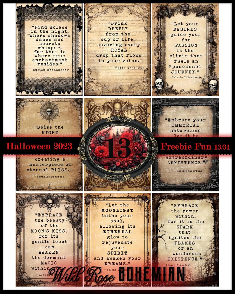 May include: A collage of vintage-style images with quotes about embracing the night, passion, and the power within. The images feature skulls, roses, and a number 13 in a black frame. The text includes quotes like "Seize the Night" and "Let your desires guide you".