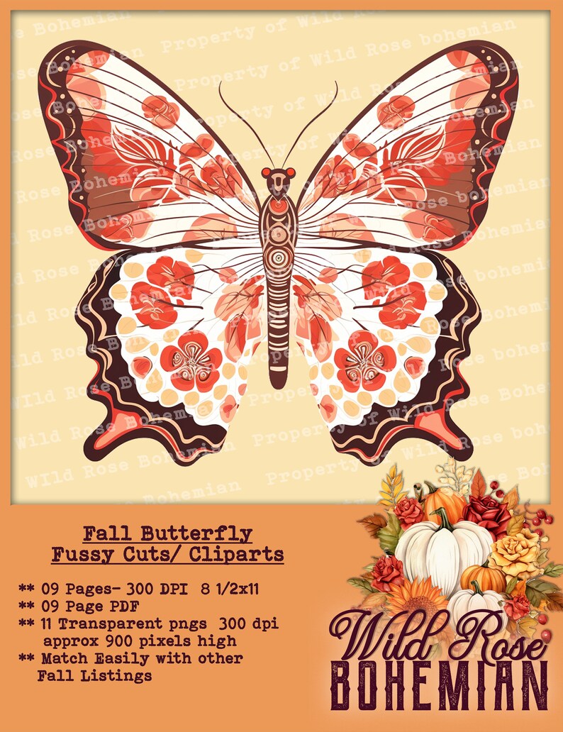 Autumn Butterfly Clipart: Fall PNG Graphics (digital Download) - Etsy UK