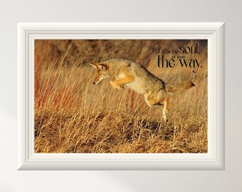 Jumping Coyote, Coyote on the Field, Inspirational Quotes, Animal Life, Wildlife Photography, Canvas Printed Wall Art, wild art canvas