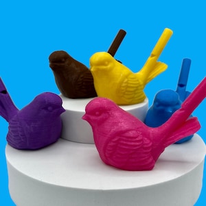 May include: Five colorful bird-shaped whistles, each with a different color: purple, pink, yellow, blue, and brown. The whistles are arranged on a white tiered display.