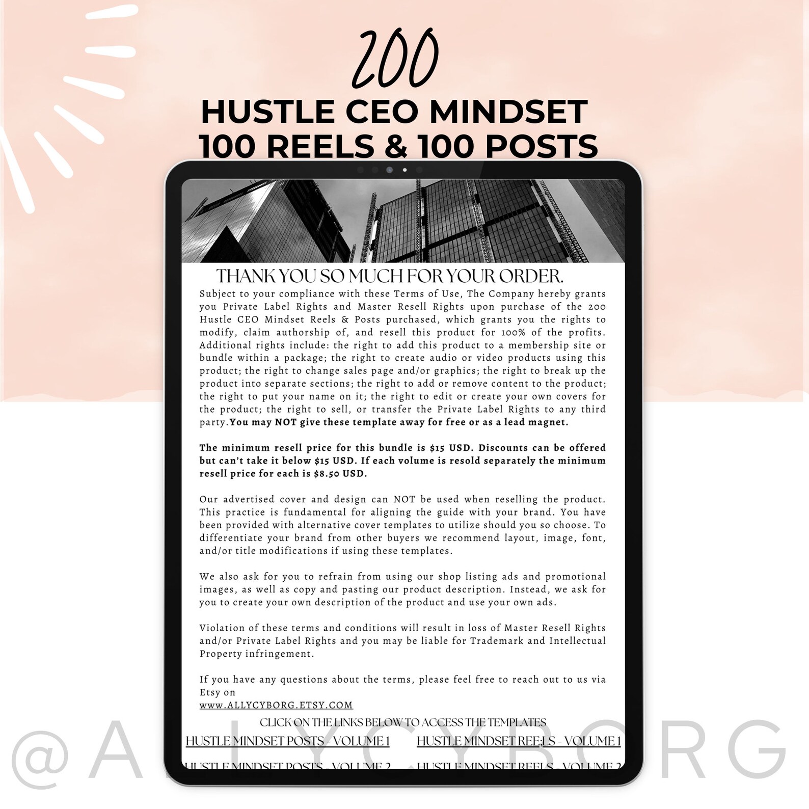 Hustling CEO Mindset Posts Reels Bundle With MRR Master Resell Rights ...
