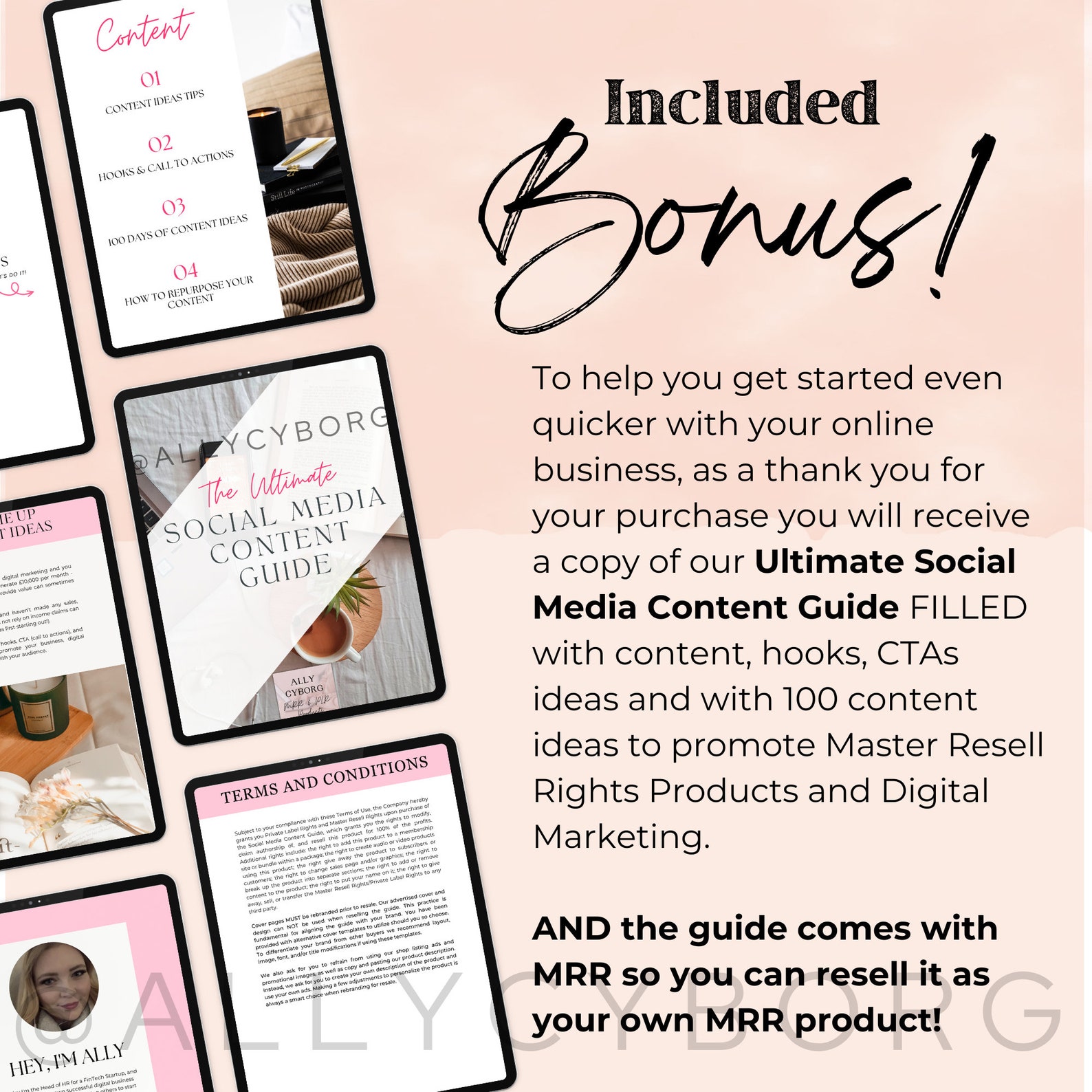 100 Boss Babe Stories Templates W/ Master Resell Rights MRR and Private ...