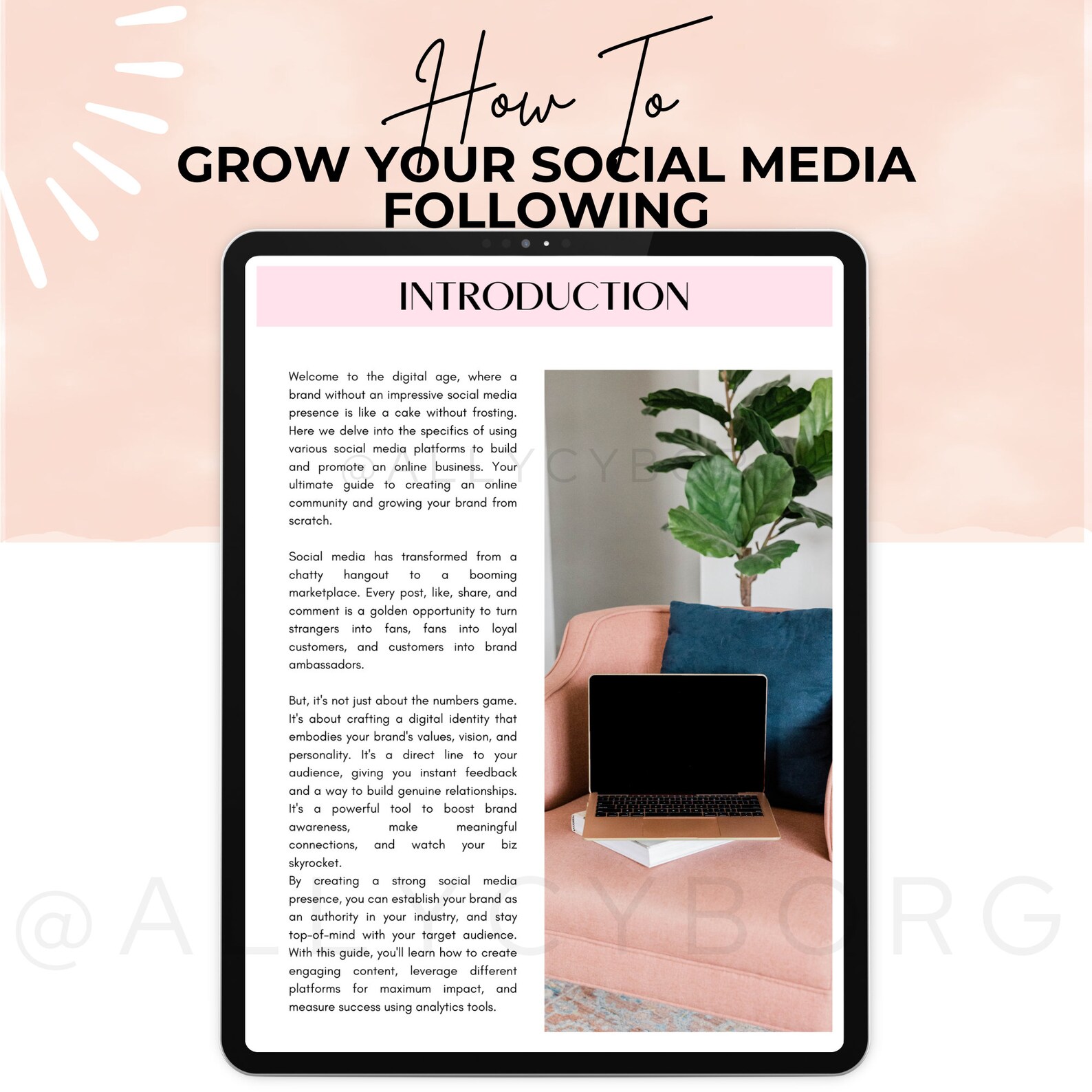 How to Grow Your Social Media Following With Master Resell Rights MRR ...