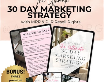 The Ultimate 30 Day Marketing Strategy with Master Resell Rights MRR and Private Label Rights PLR For Selling Digital Products Online DFY