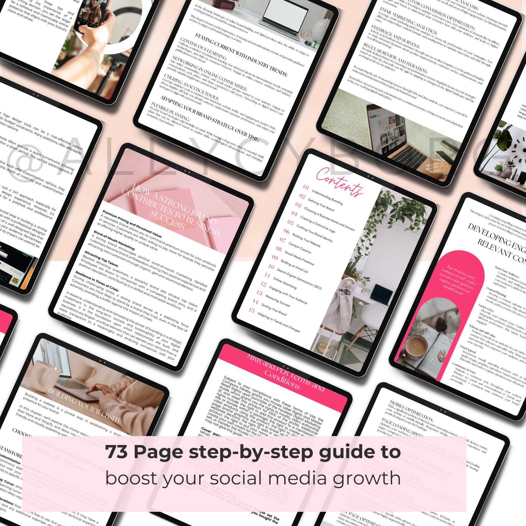 The 30 Days Social Media Challenge Guide With Master Resell Rights MRR ...