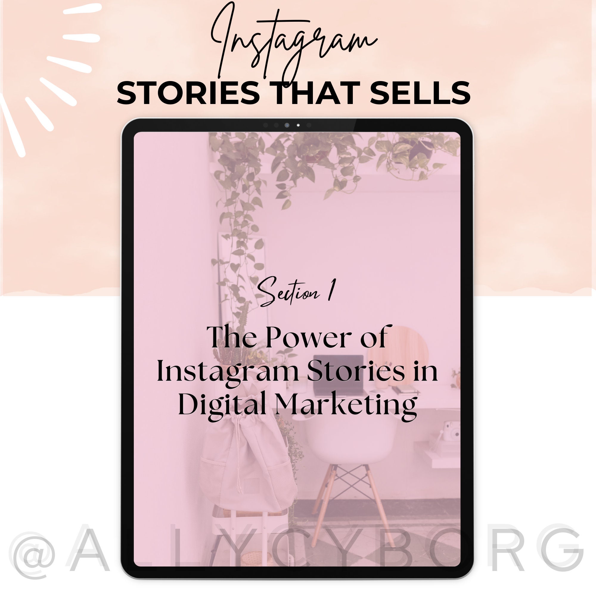 Instagram Stories That Sells Guide W/ Master Resell Rights MRR ...