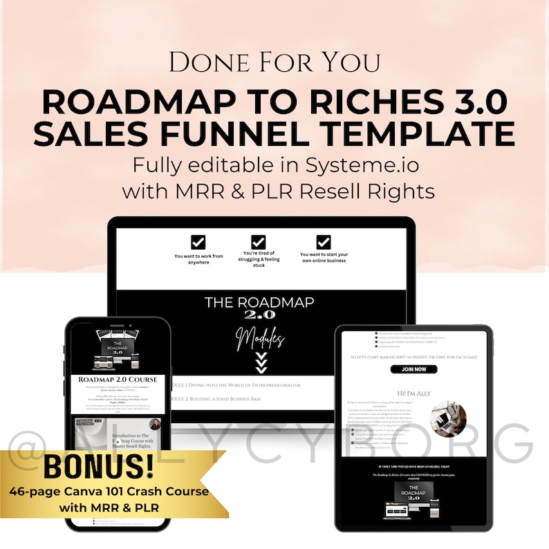 Roadmap to Riches 3.0 Funnel Template Master Resell Rights MRR ...