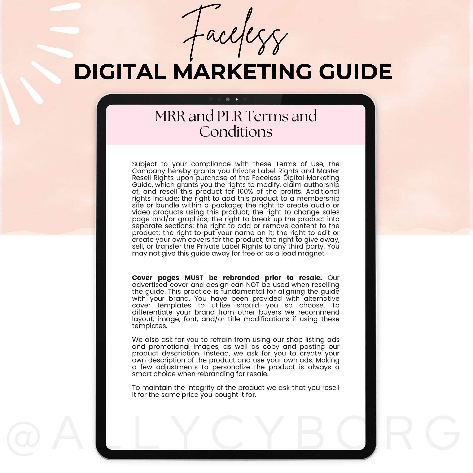 Faceless Digital Marketing Guide With Master Resell Rights MRR and ...