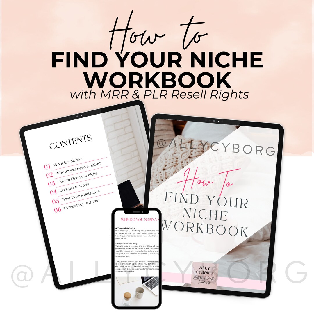 How to Find Your Niche Workbook With Master Resell Rights MRR & Private ...