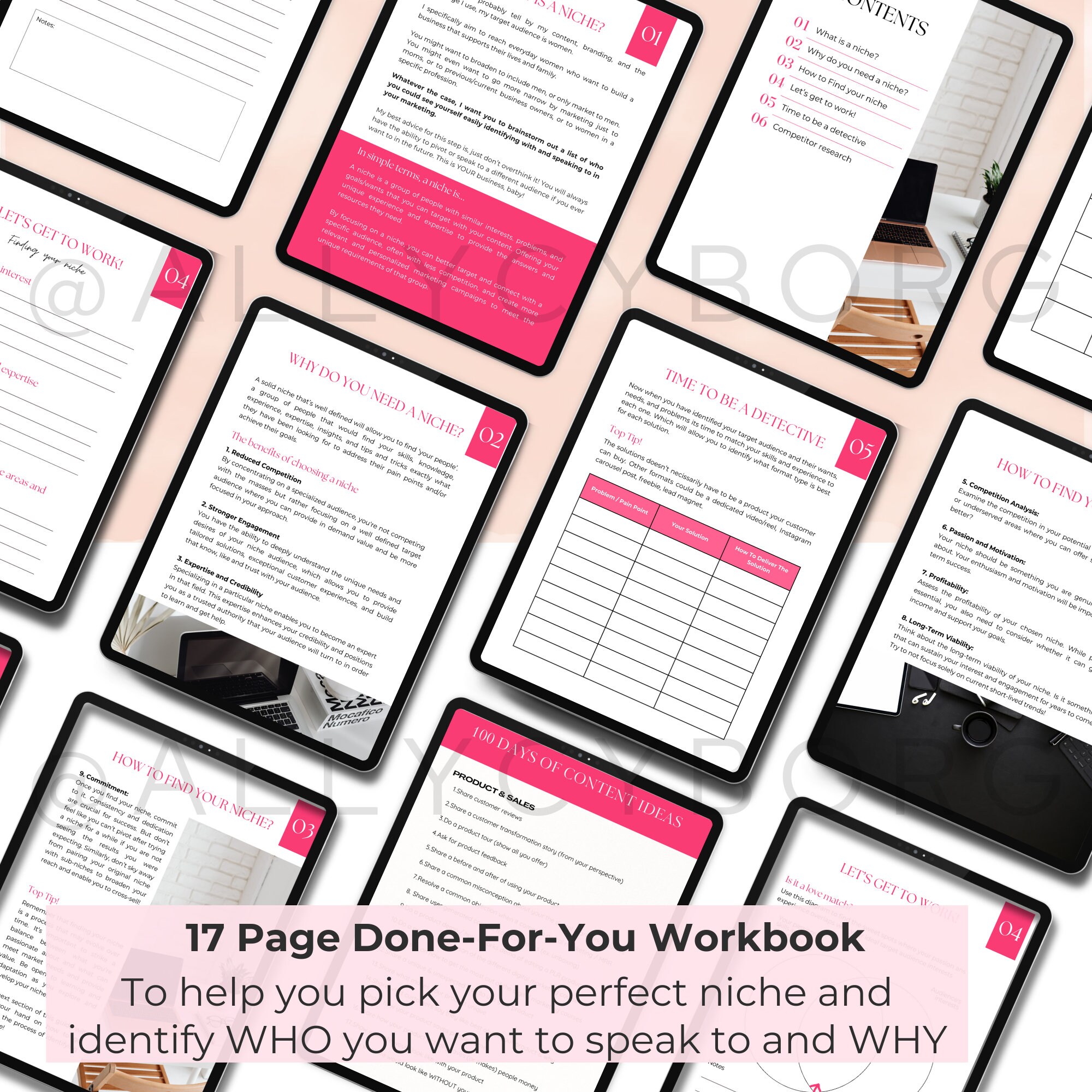 How to Find Your Niche Workbook With Master Resell Rights MRR & Private ...
