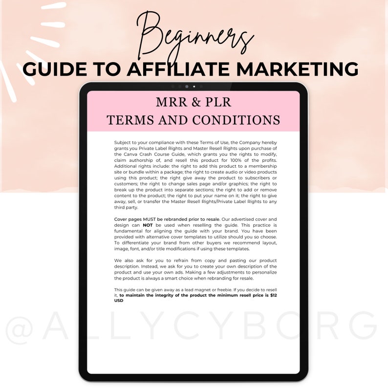 Beginners Guide to Affiliate Marketing With Master Resell Rights MRR ...