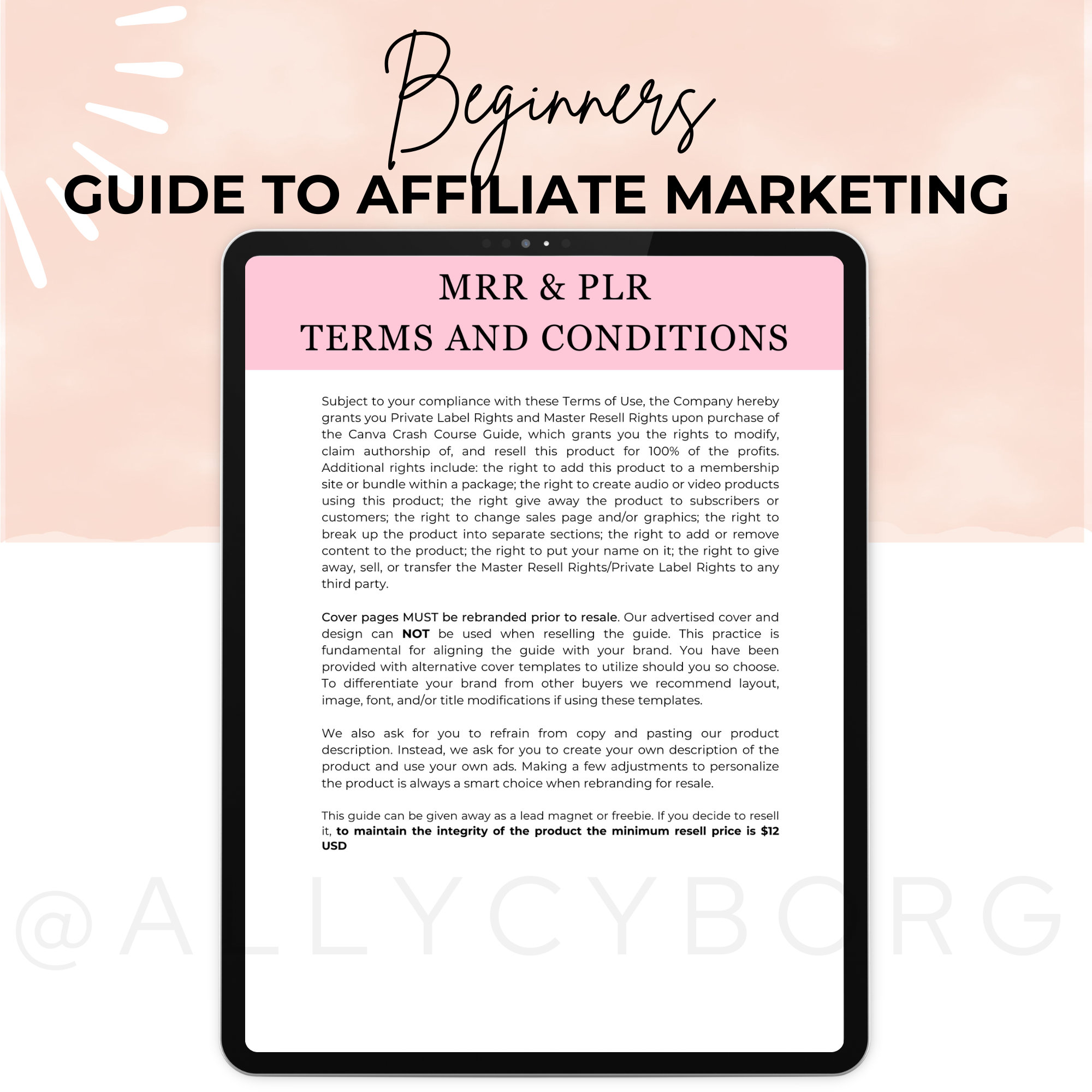 Beginners Guide to Affiliate Marketing With Master Resell Rights MRR ...