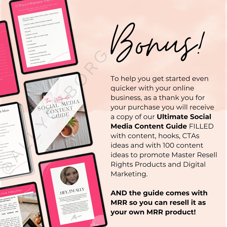 Faceless Digital Marketing Guide WHOLE Library W Master Resell Rights ...