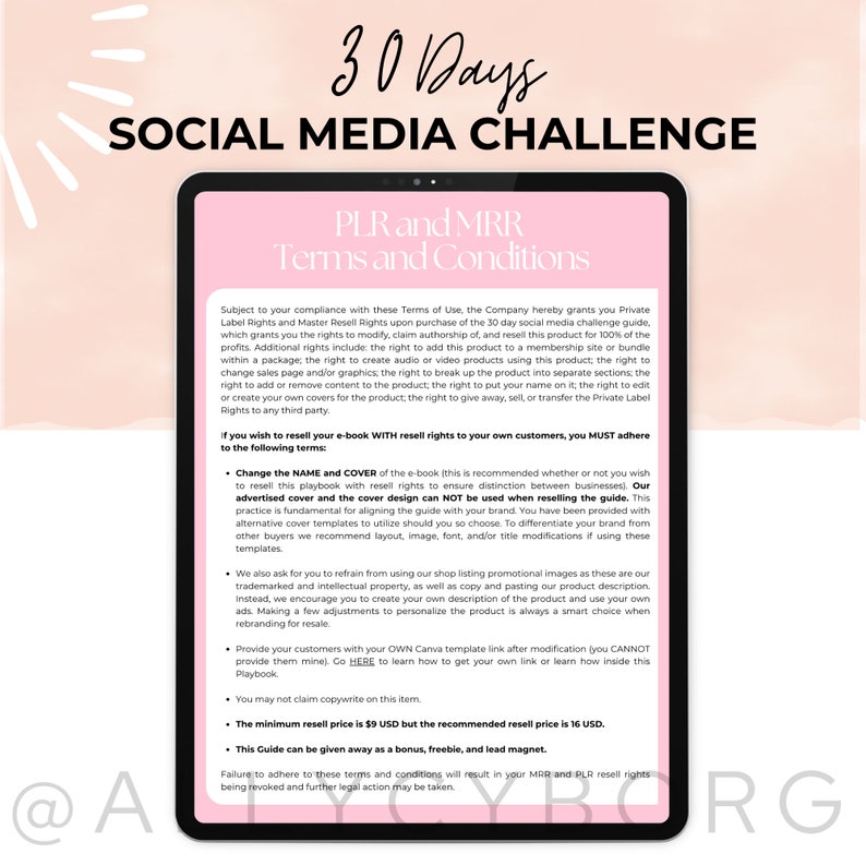 The 30 Days Social Media Challenge Guide With Master Resell Rights MRR ...