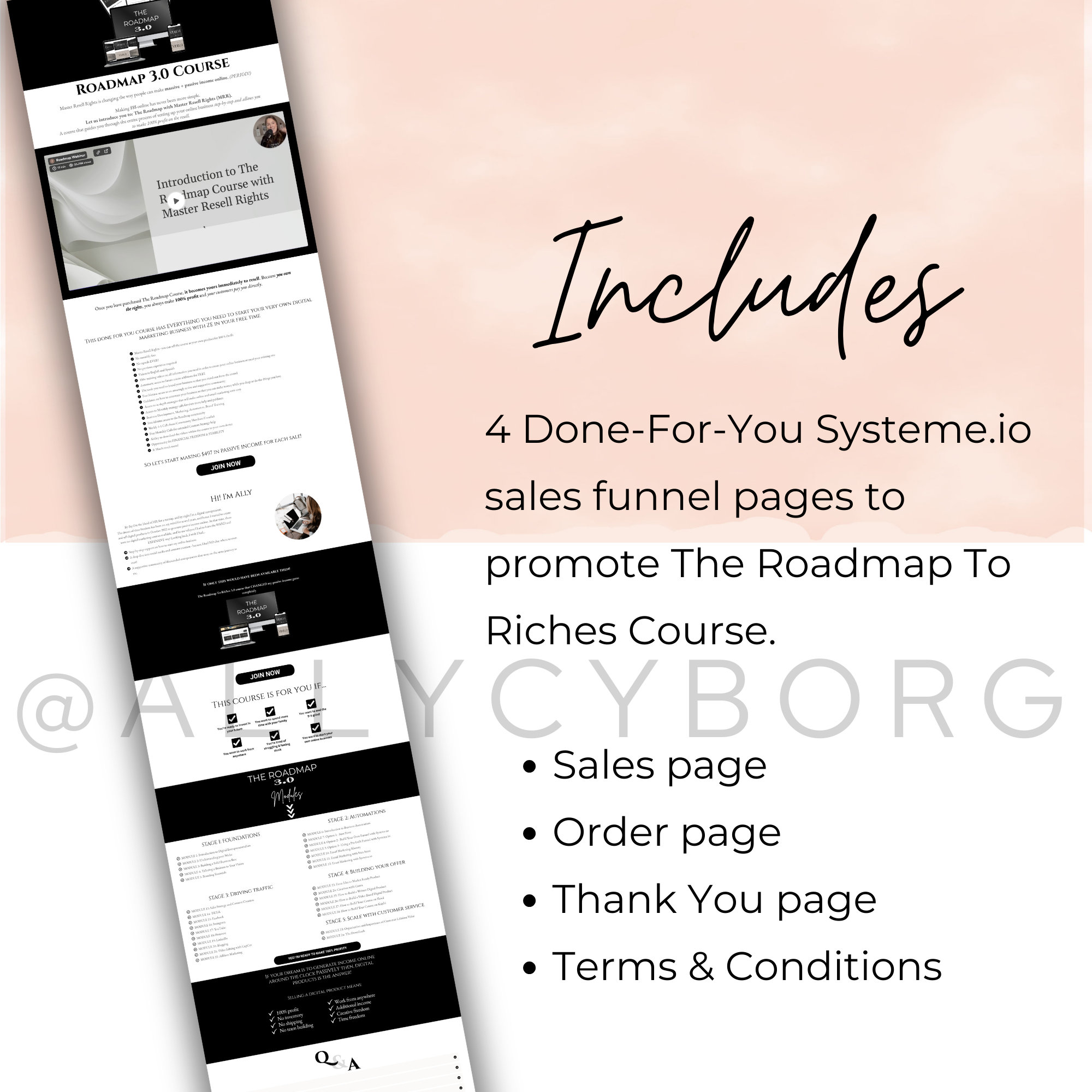 Roadmap to Riches 3.0 Funnel Template Master Resell Rights MRR ...