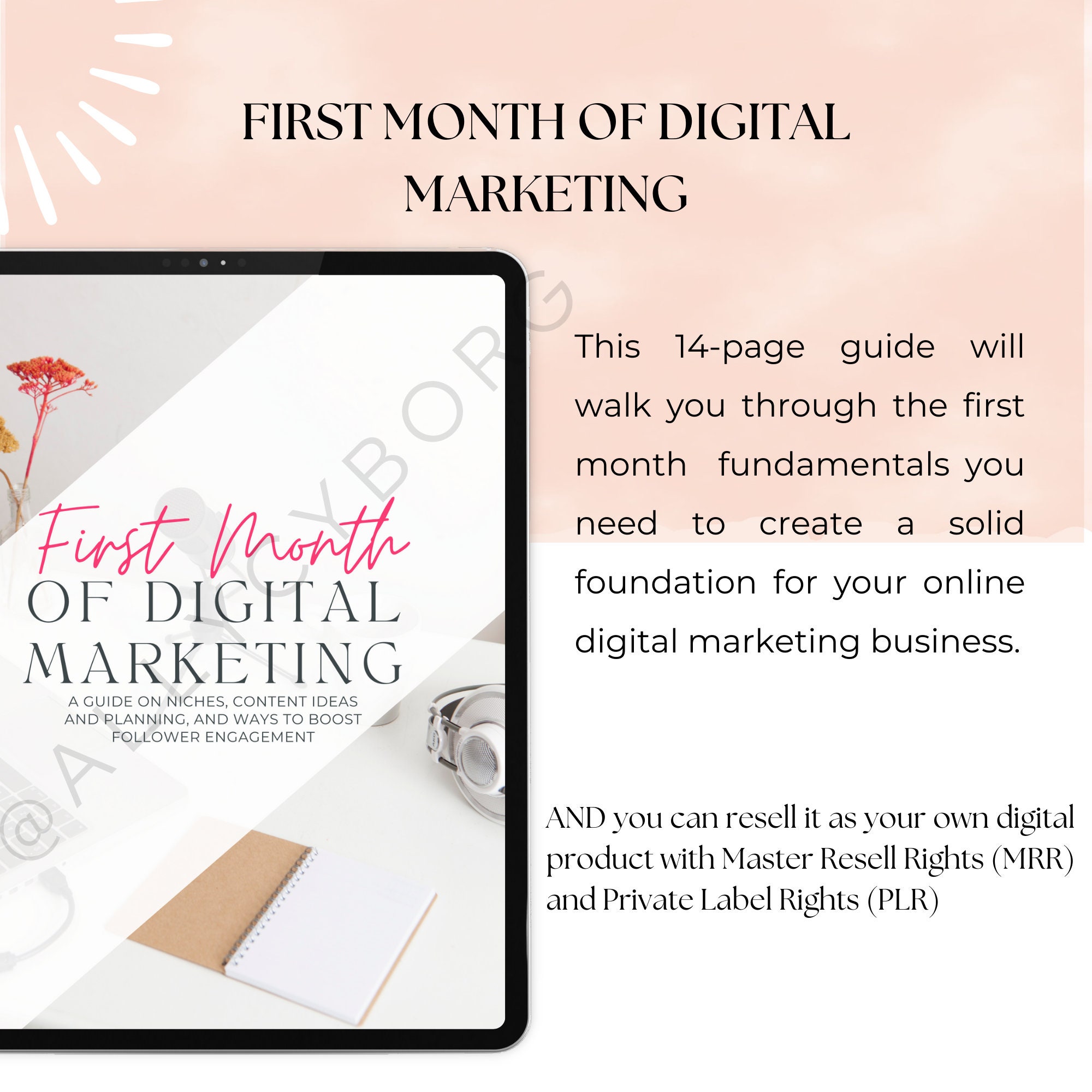 30 Days Done for You Instagram Caption and Content With Master Resell ...