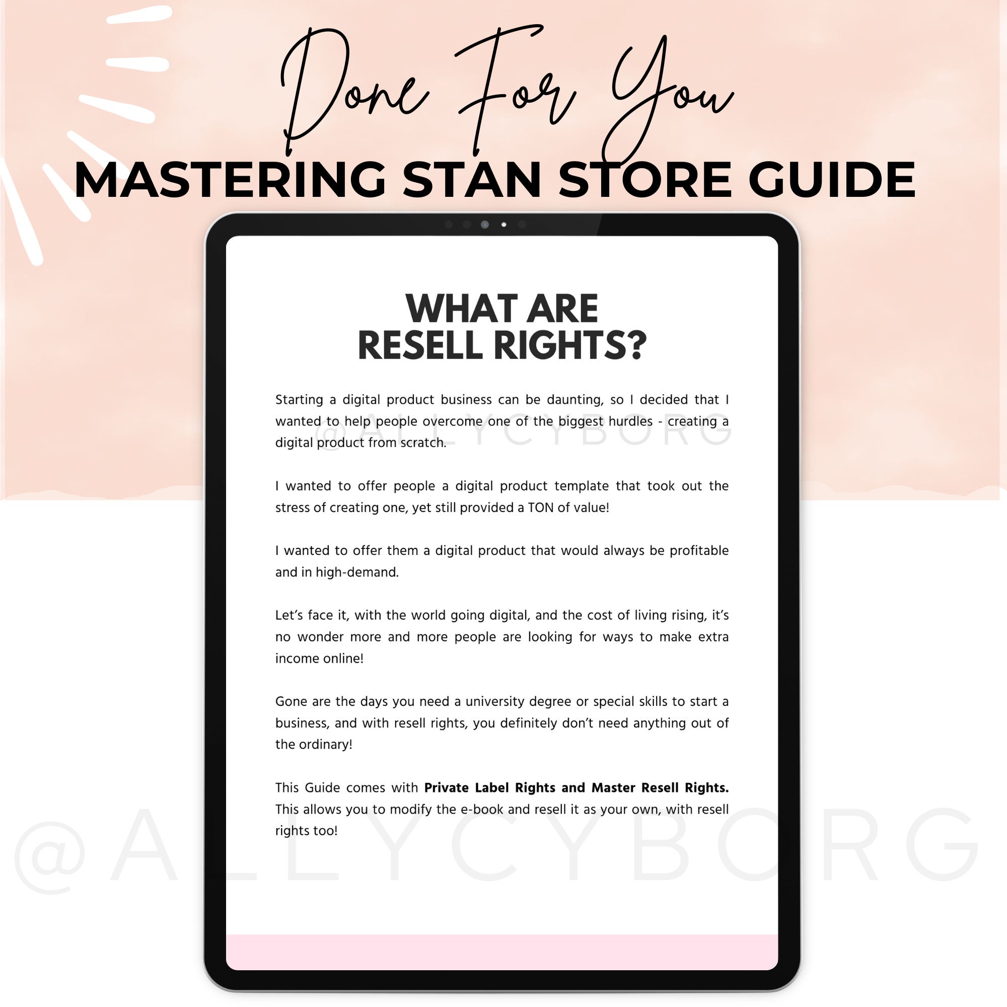 Mastering Stan Store Guide W Master Resell Rights MRR Private Label ...